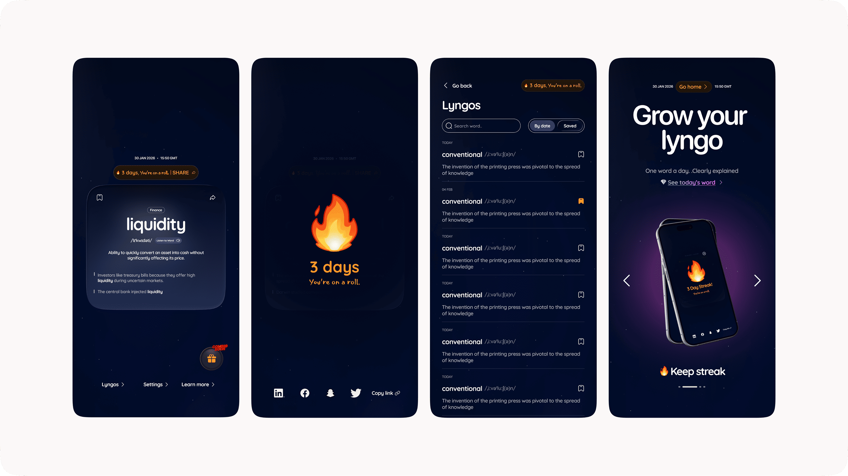 Lyngo landing page 2