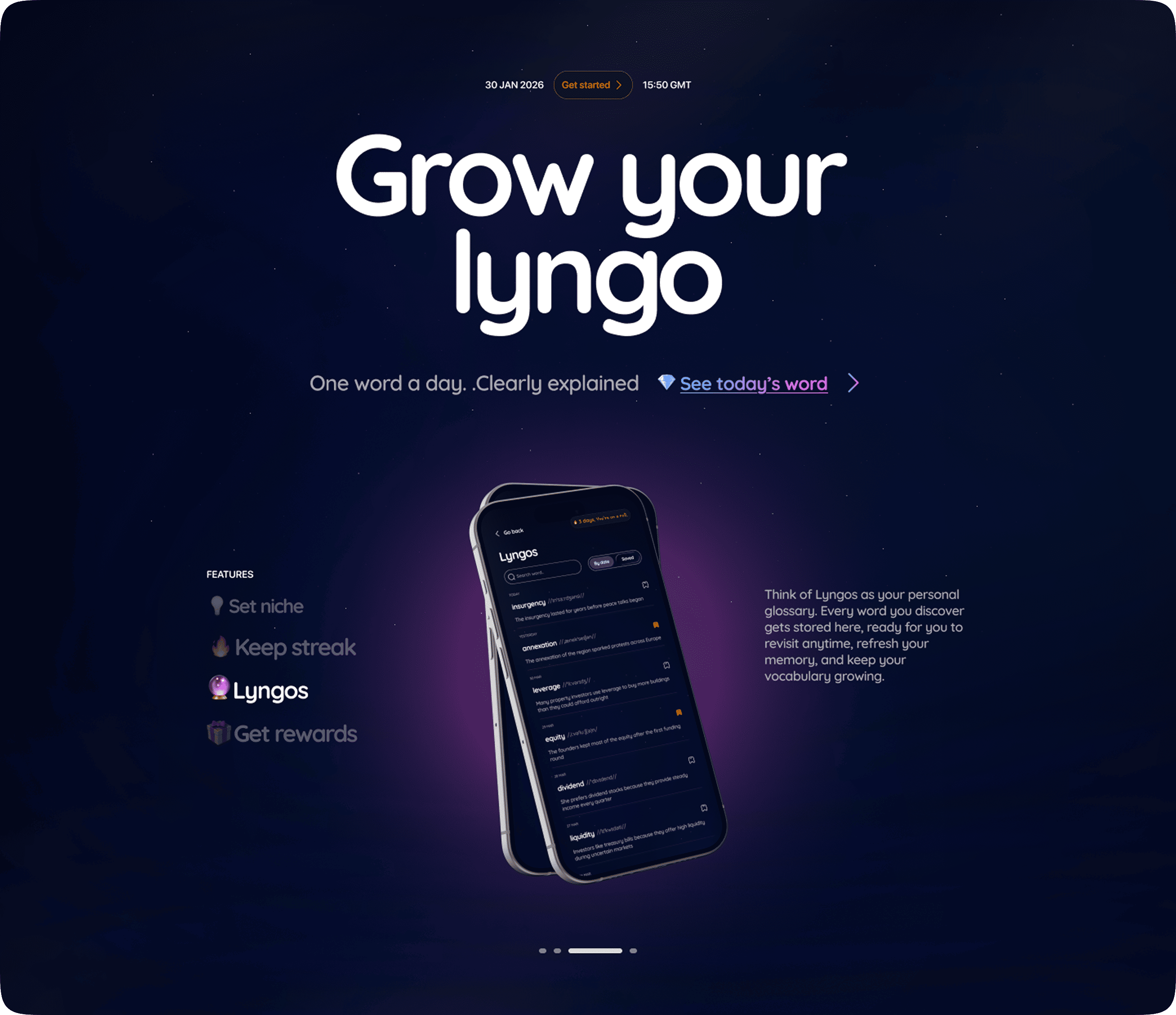 Lyngo landing page 7